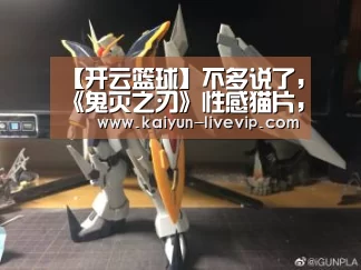 【开云篮球】不多说了，《鬼灭之刃》性感猫片，海量COS点击就
