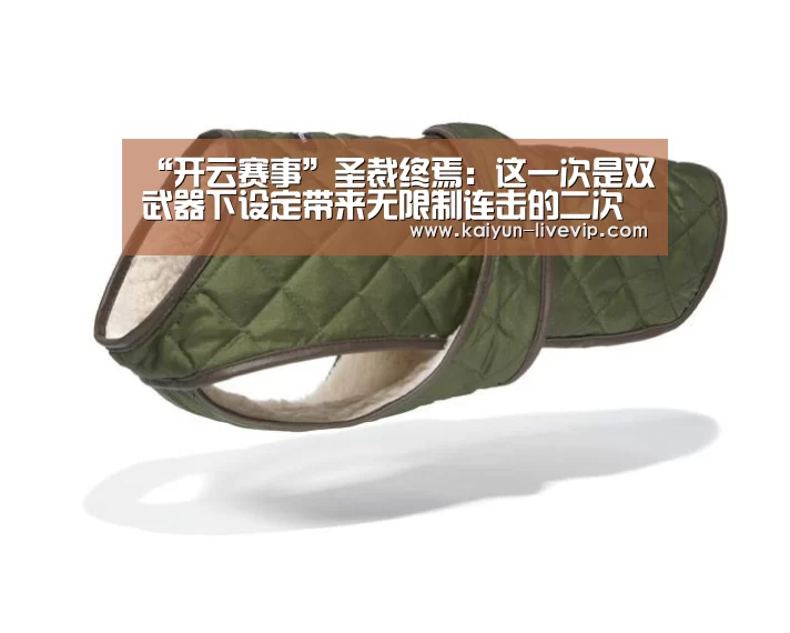 “开云赛事”圣裁终焉：这一次是双武器下设定带来无限制连击的二